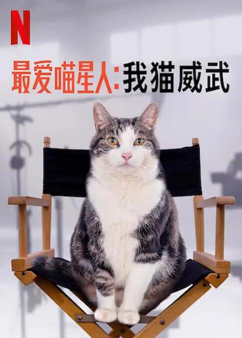 最爱喵星人：我猫威武